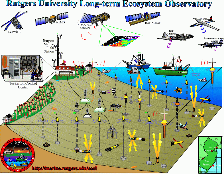 Rutgers University Long-term Ecosystem Observatory